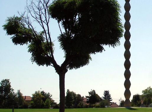 Fișier:RO GJ Tg Jiu park featuring Endless Column.jpg - Wikipedia