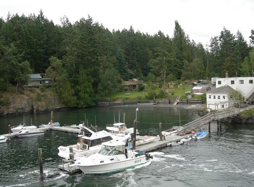 File:Harbor near Shaw Island ferry dock.jpg - Wikimedia Commons