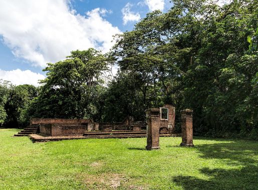 File:20191129 Suriname 0182 Jodensavanne sRGB (49295410911).jpg - Wikimedia  Commons