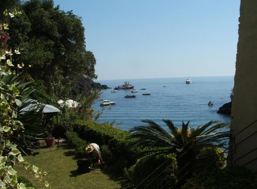 File:San Fruttuoso di Camogli-giardino Abbazia-DSCF0701.JPG - Wikimedia  Commons