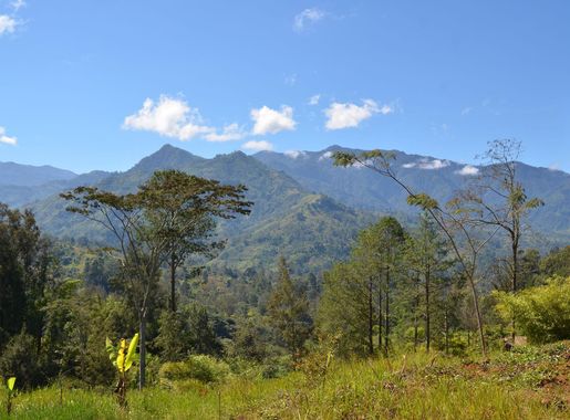 File:Papua New Guinea (5986599443).jpg - Wikipedia
