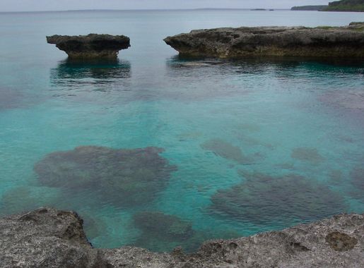 File:Corail Lifou.JPG - Wikimedia Commons