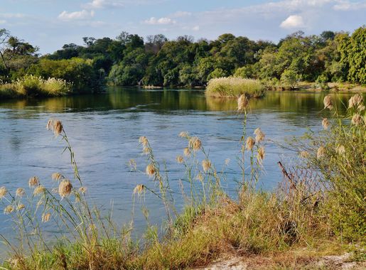 File:Namibia Okavango 3.jpg - Wikimedia Commons
