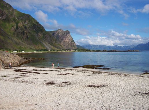 File:Hadseløya beach - panoramio.jpg - Wikimedia Commons