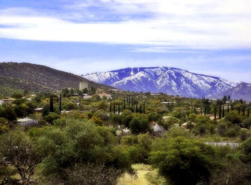 File:Oracle AZ Mt Lemmon.JPG - Wikimedia Commons