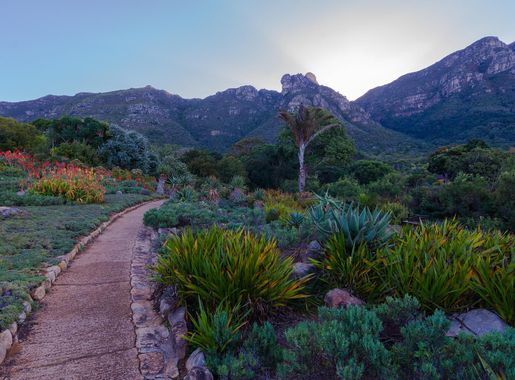 File:Kirstenbosch National Botanical Garden.jpg - Wikimedia Commons