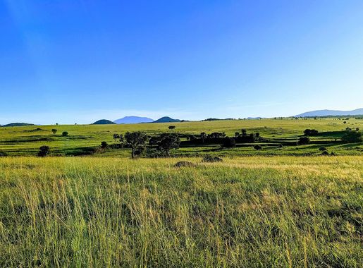 File:Kidepo Valley National Park 04.jpg - Wikimedia Commons