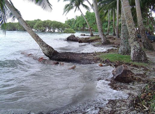 File:NukutoaHighTide.JPG - Wikimedia Commons