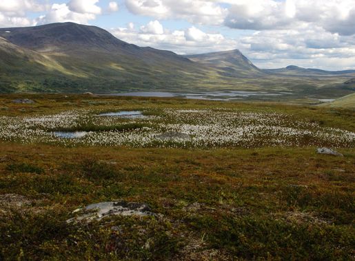 File:Vindelfjällen.jpg - Wikimedia Commons