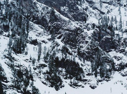 Snow covered mountains and trees | Free Photo - rawpixel