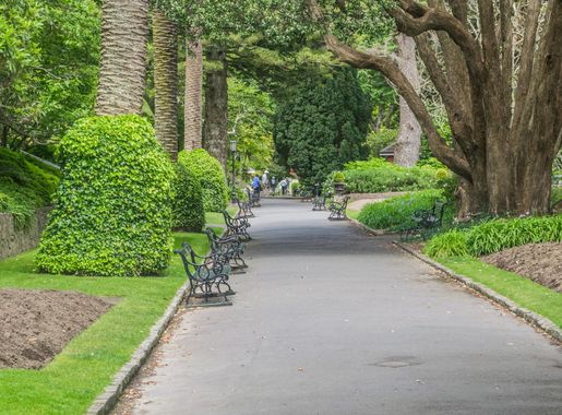 File:Wellington Botanical Garden 10.jpg - Wikimedia Commons