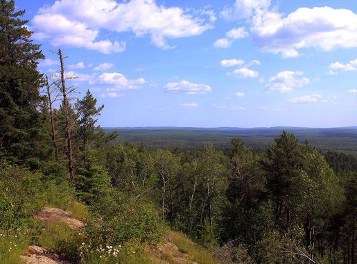 File:Gfp-minnesota-superior-national-forest-summit-of-eagle-mountain.jpg -  Wikimedia Commons