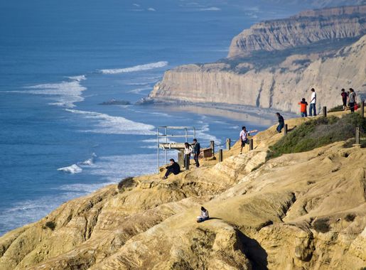 File:Torrey Pines cliffs.jpg - Wikimedia Commons