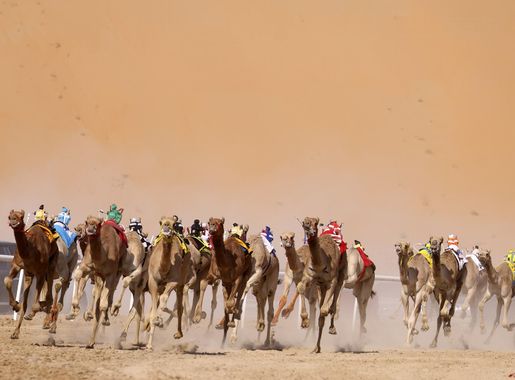 File:Liwa International Festival.jpg - Wikimedia Commons