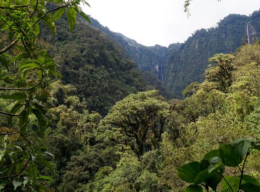 File:Huandisagua, Sangay-Nationalpark.jpg - Wikimedia Commons