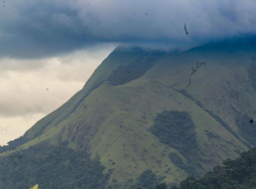 File:Mont Nimba.jpg - Wikimedia Commons