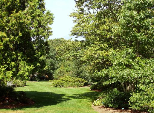 File:URI Botanical Gardens - Kingston, RI.JPG - Wikimedia Commons