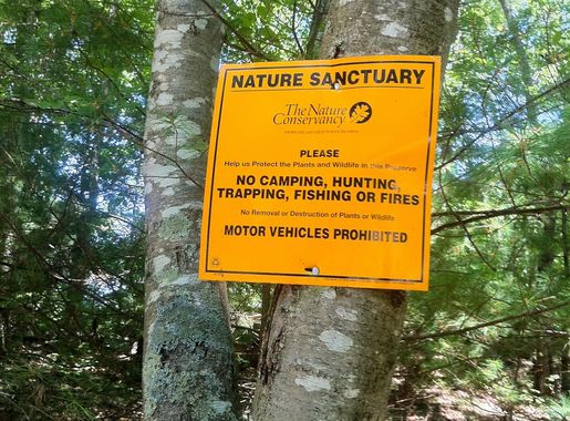 Narragansett Trail - Wikipedia