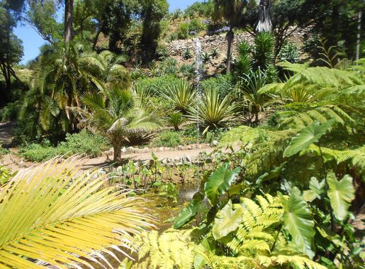 File:Garden of Mexico in the gardens of Palácio de Monserrate, Sintra,  Portugal 05.jpg - Wikimedia Commons