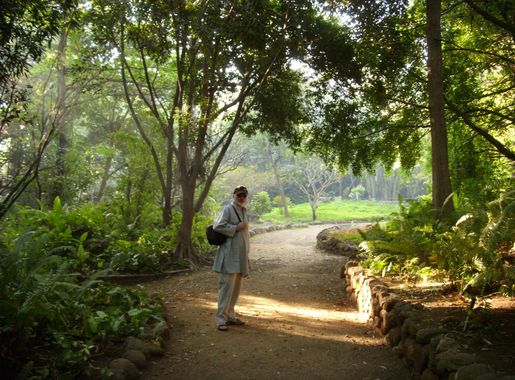 File:2008 01 Osho Park, Pune, India.jpg - Wikimedia Commons