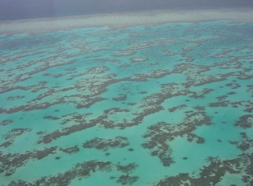 Great Barrier Reef - Wikipedia