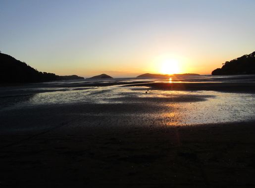 Tales from the farm