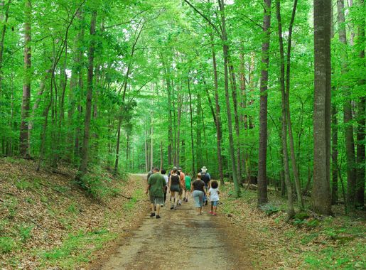 Hit the trail! National Park Service plans to expand trails at Prince  William Forest Park - Prince William Forest Park (U.S. National Park  Service)