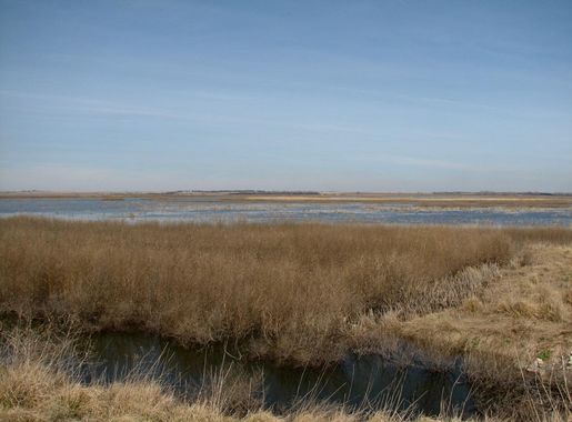 File:Cheyenne Bottoms.jpg - Wikimedia Commons