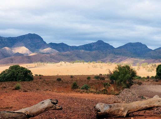 File:Ikara-Flinders Ranges National Park 07.jpg - Wikimedia Commons