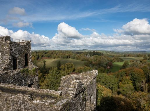 File:Dinefwr Castle - 52458101049.jpg - Wikimedia Commons
