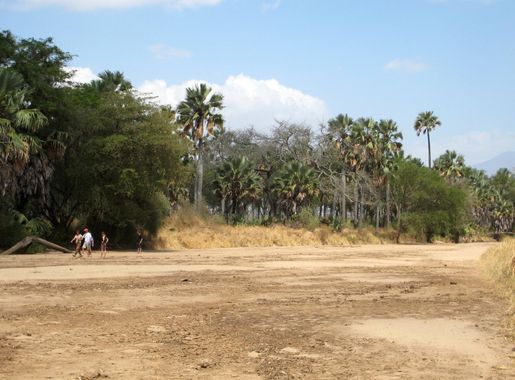 File:Kidepo Riverbed.jpg - Wikimedia Commons