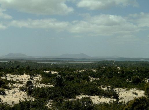 Fichier:19 Coffin Bay CP lookout 12.JPG — Wikipédia