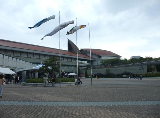 File:Public aquariums in Aquas.JPG - Wikimedia Commons