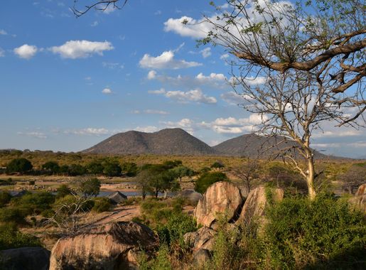 File:Ruaha National Park landscape (7) (28745870640).jpg - Wikimedia Commons