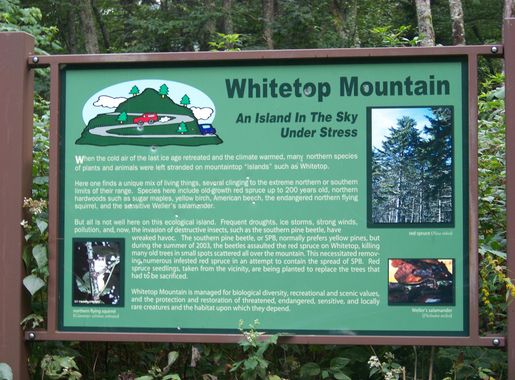 File:Whitetop Mountain (Virginia) sign - An Island In the Sky Under Stress  - panoramio.jpg - Wikimedia Commons
