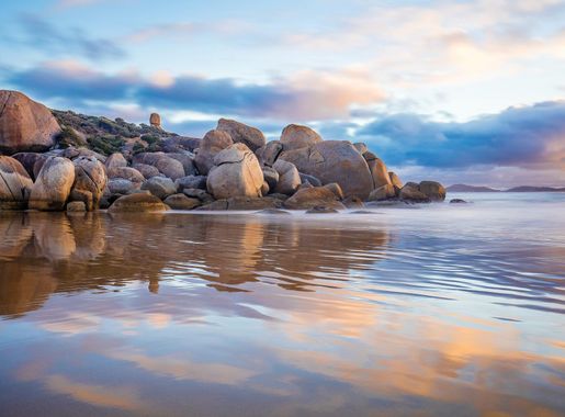 File:Whisky Beach (26898024816).jpg - Wikimedia Commons