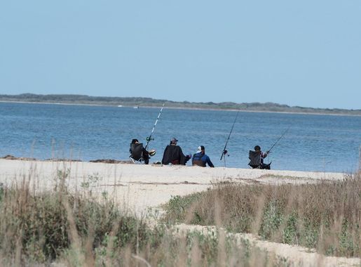 Fishing - Padre Island National Seashore (U.S. National Park Service)