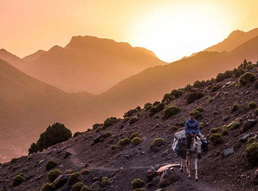 File:Riding a mule in Toubkal National Park.png - Wikimedia Commons