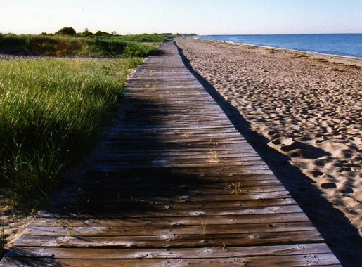 File:Hammonasset 15.JPG - Wikimedia Commons