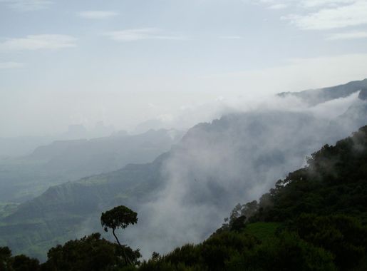 File:Ethiopia-Djibouti 256.JPG - Wikimedia Commons