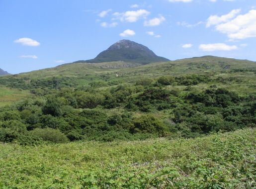 File:Diamond Hill.JPG - Wikimedia Commons