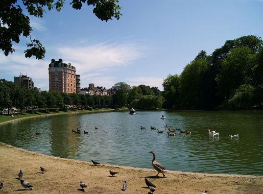 File:Ixelles Ponds.JPG - Wikimedia Commons