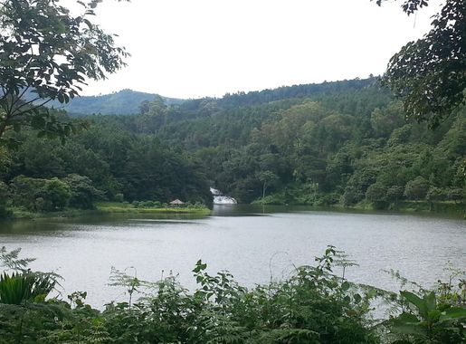 File:Mulunguzi dam and Williams Falls.jpg - Wikimedia Commons
