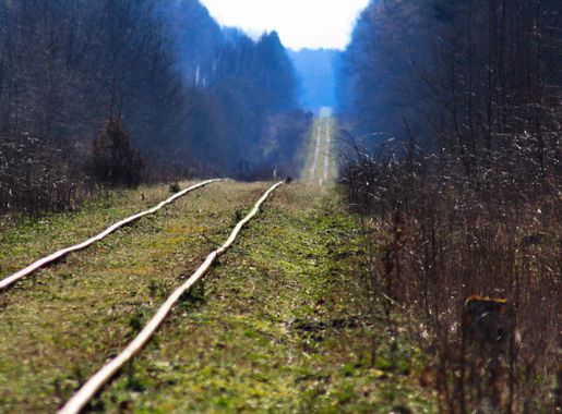 File:Hajnówka, Poland - panoramio (141).jpg - Wikimedia Commons