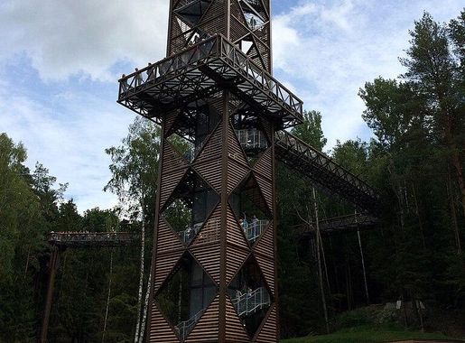 File:Medžių lajų takas - panoramio (1).jpg - Wikimedia Commons
