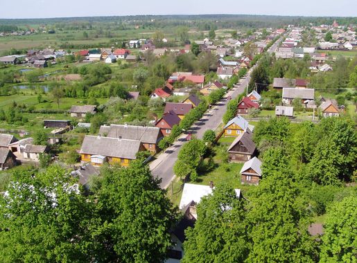 File:Bialowieza beentree.jpg - Wikimedia Commons