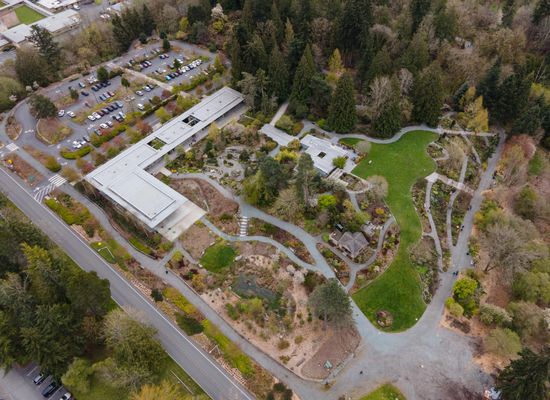 washington/bellevue/wilburton