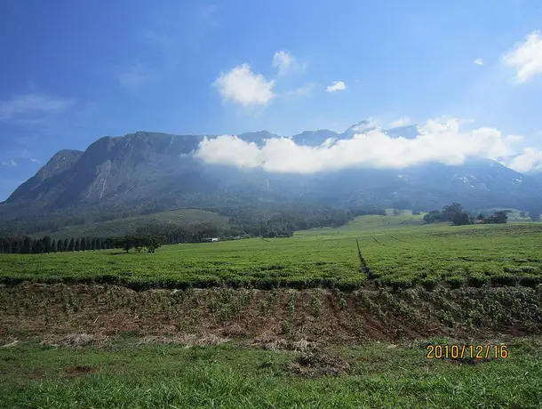 Blantyre photo 2