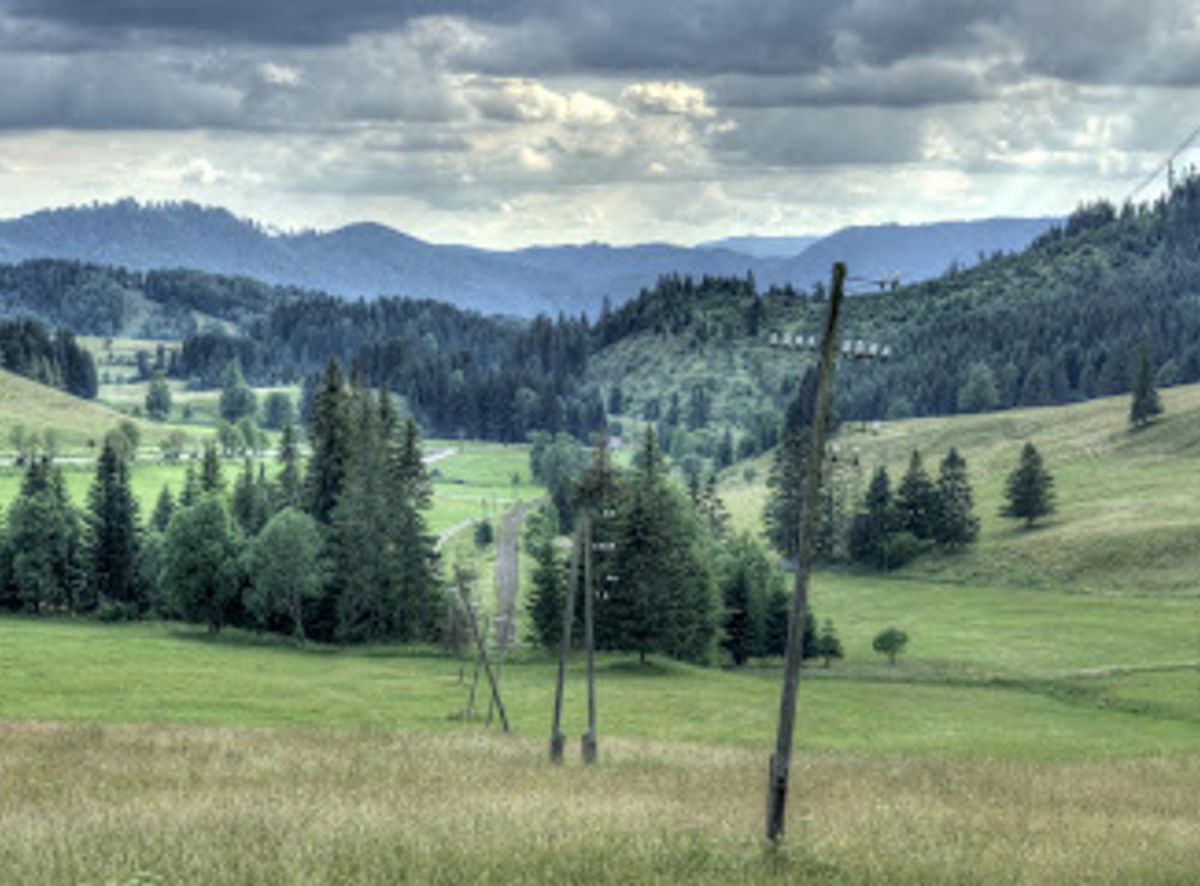 Background