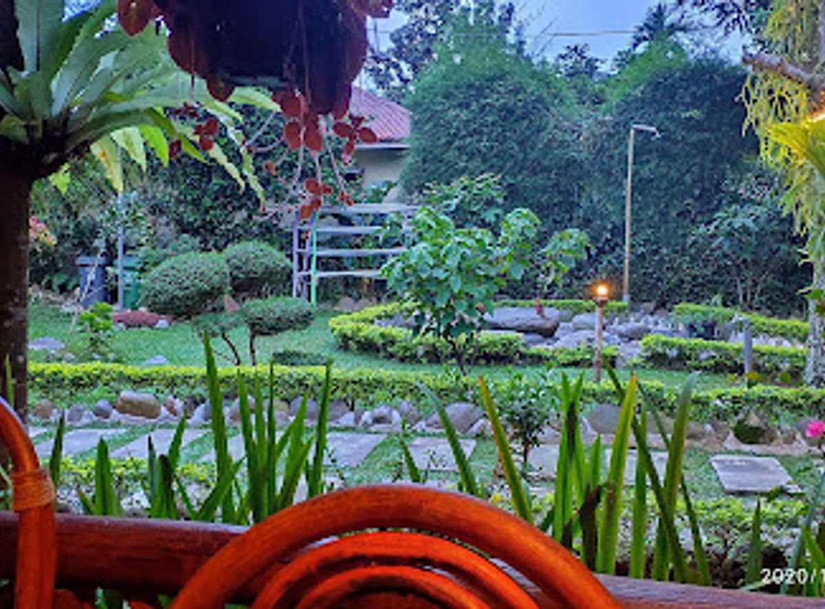 Background